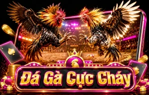 Sảnh đá gà shbet1vin với bố cục gọn và rõ